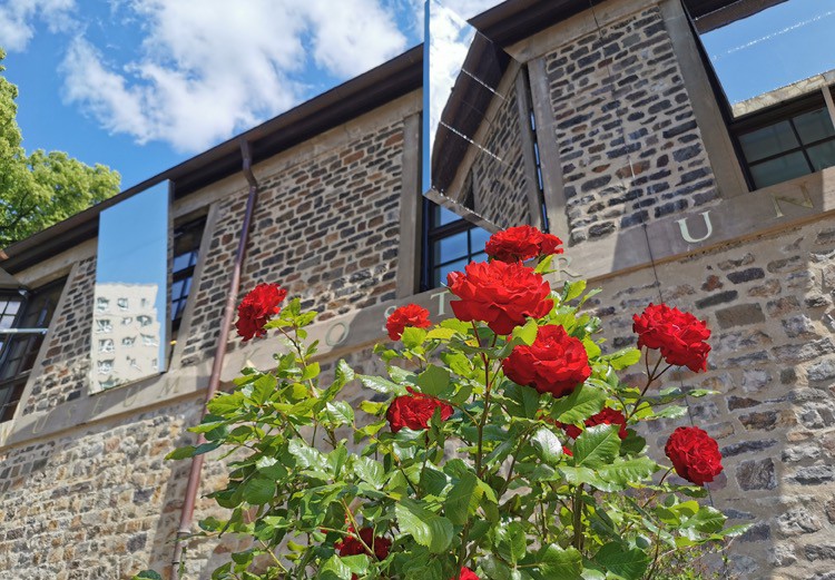 klostercafe4 klostercafe4