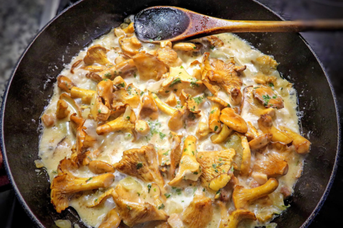 Spargel